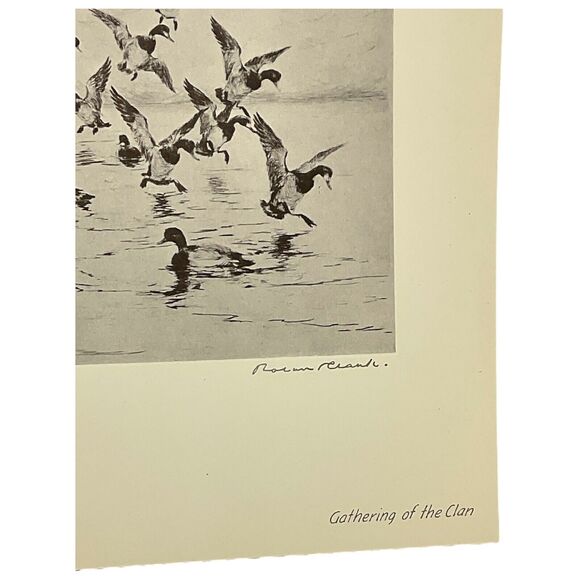 Roland Clark Gathering of the Clan Signed Etching Reproduction Nature Magazine 2 - Picture 2 of 3